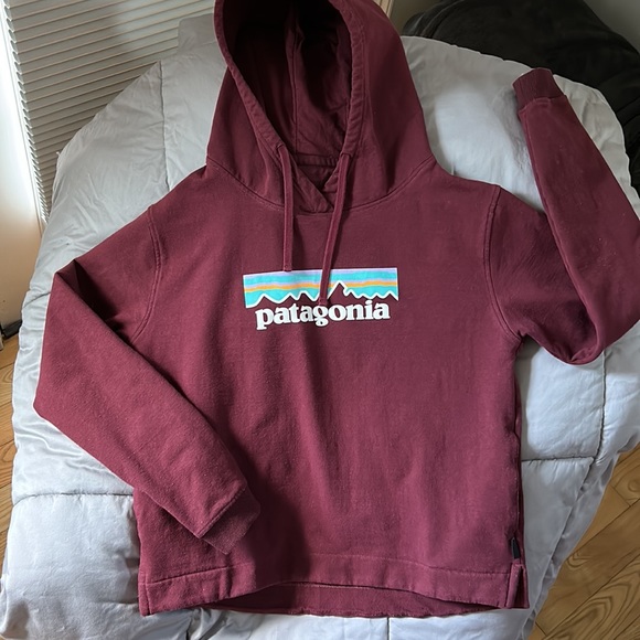 Patagonia Tops - Patagonia Uprisal Hoody
